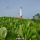 The lighthouse on Fiery Cross Reef in the South China Sea.